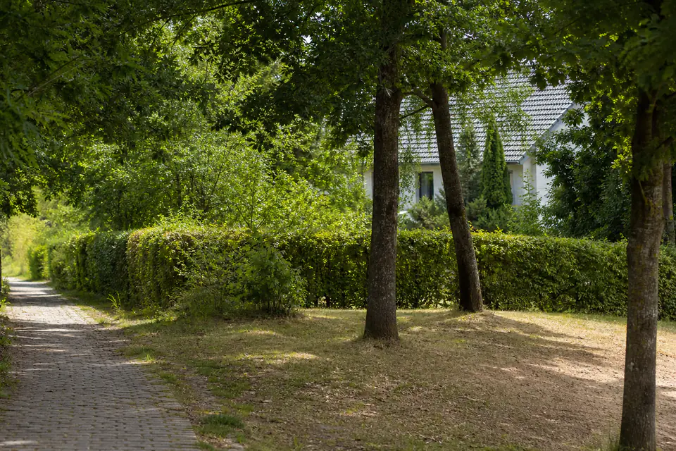 Neutraler Grundstückszugang mit Natursteintor und klarer Wegeführung.