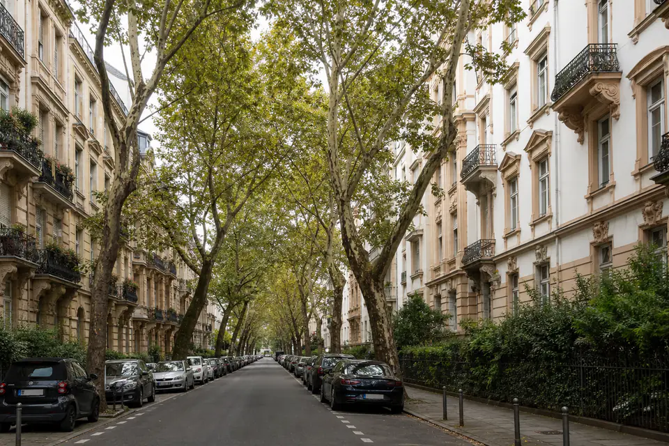 Ruhige, baumbestandene Gründerzeitstraße mit hochwertigen Fassaden.